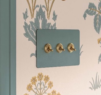 Corston, Antique Brass switches on a paintable plate